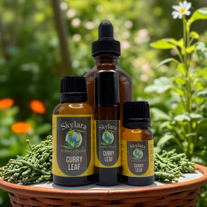 Curry Leaf Essential Oil