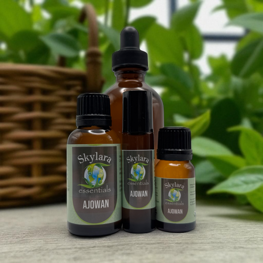 Ajowan Essential Oil