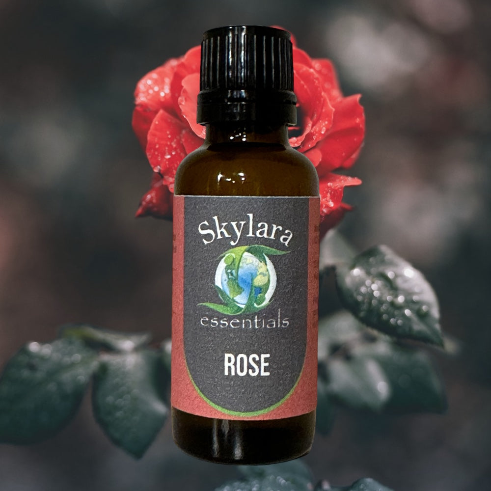 All Natural Rose Essential Oil – Skylara Essentials