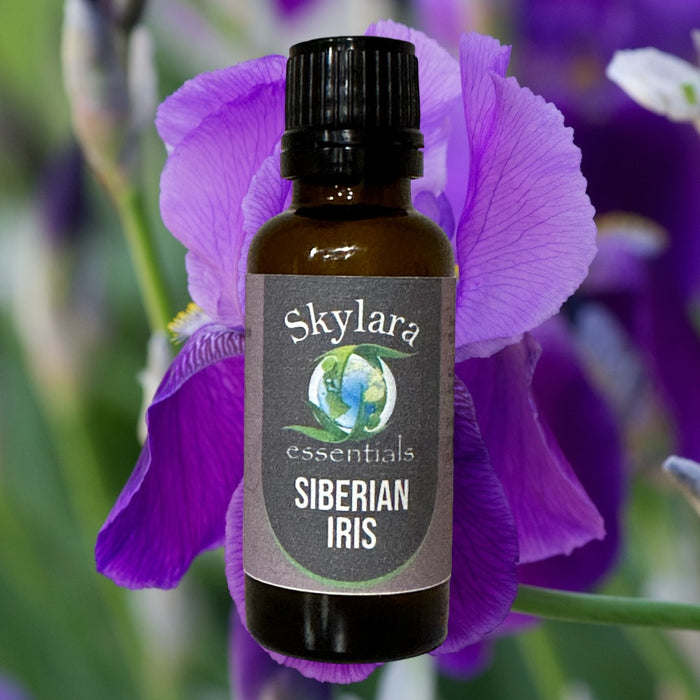 Siberian Iris Essential Oil