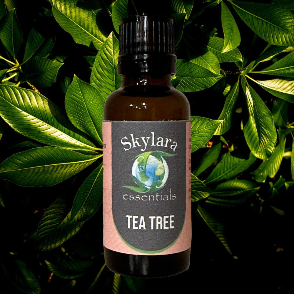 Tea Tree Essential Oil