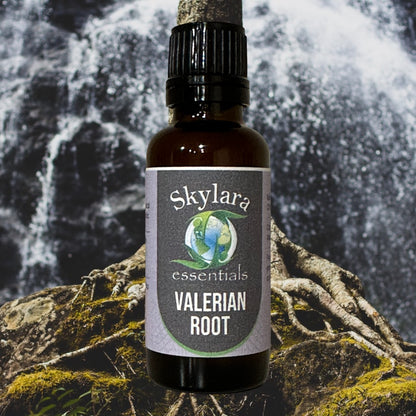 Valerian Root Essential Oil