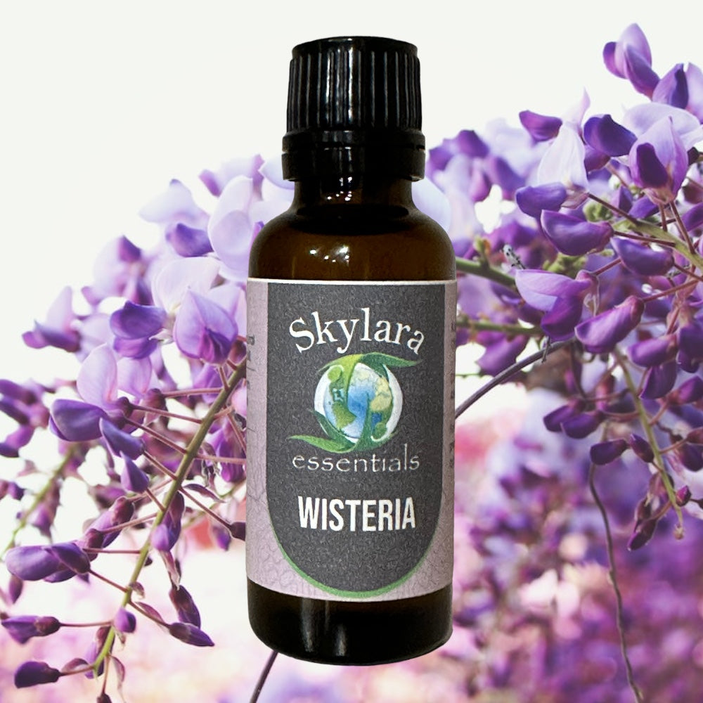 Wisteria Essential Oil