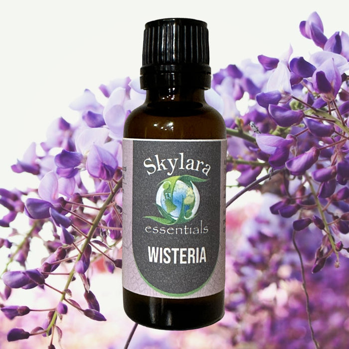 Organic Wisteria Essential Oil – Skylara Essentials