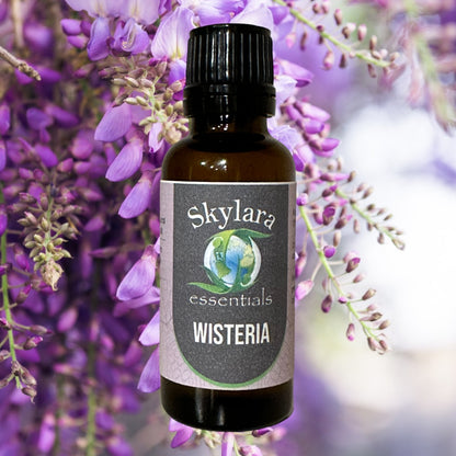 Wisteria Essential Oil