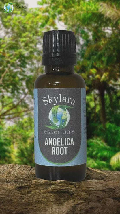 Angelica Root Essential Oil